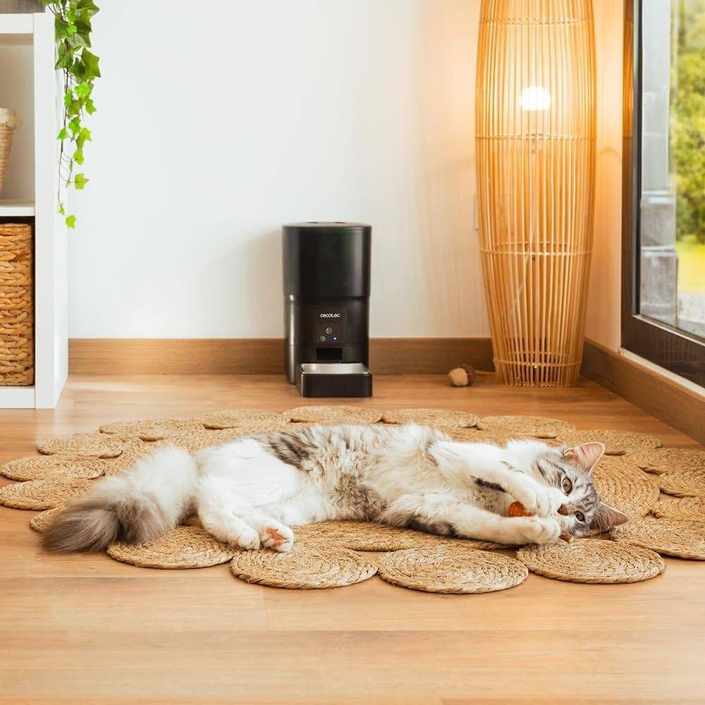 Comedouro CECOTEC Pumba 6000 Purrfect Meal Smart (Wi-Fi - 6L - Preto) — miniatura 4