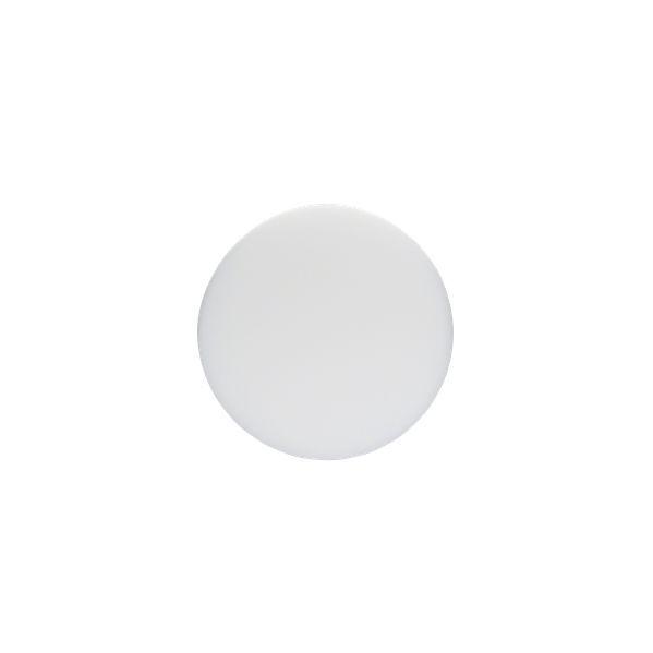 Disco de Esponja para Polir BOSCH 1608613013 (16 cm - Branco), miniatura 2