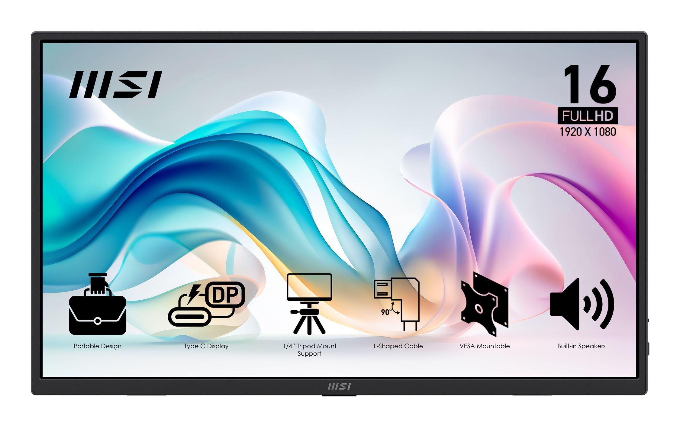 Monitor MSI PRO MP165DE E6 (15,6" - IPS - 60 Hz - Preto)