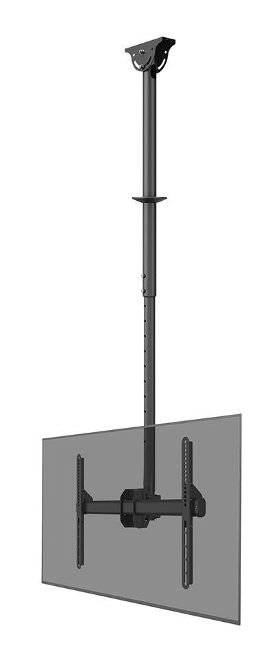 Suporte de Teto para TV NEOMOUNTS CL35-440BL16L (600 x 400 mm - 150 x 200 mm - 177,8 cm - Preto)