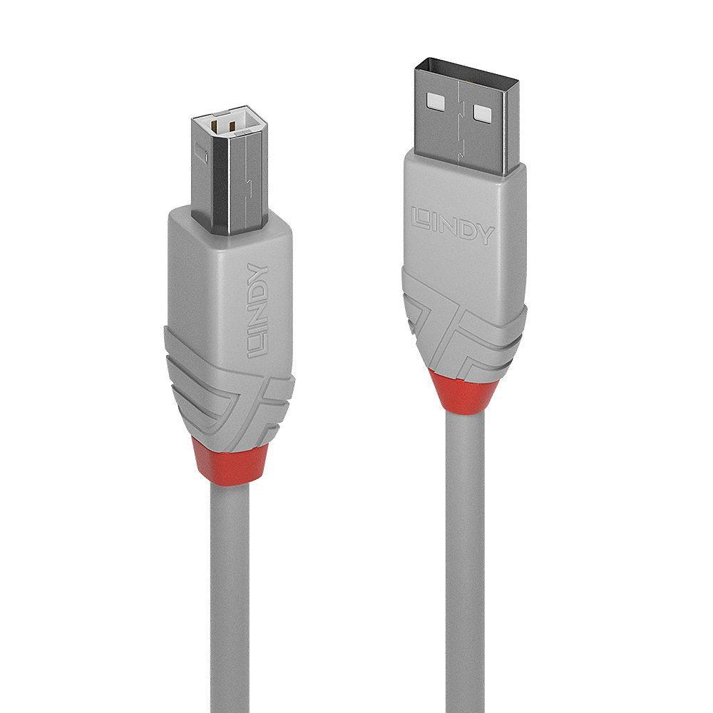 Cabo USB LINDY 36684 (3 m - USB-A macho - USB-B macho - Cinzento)