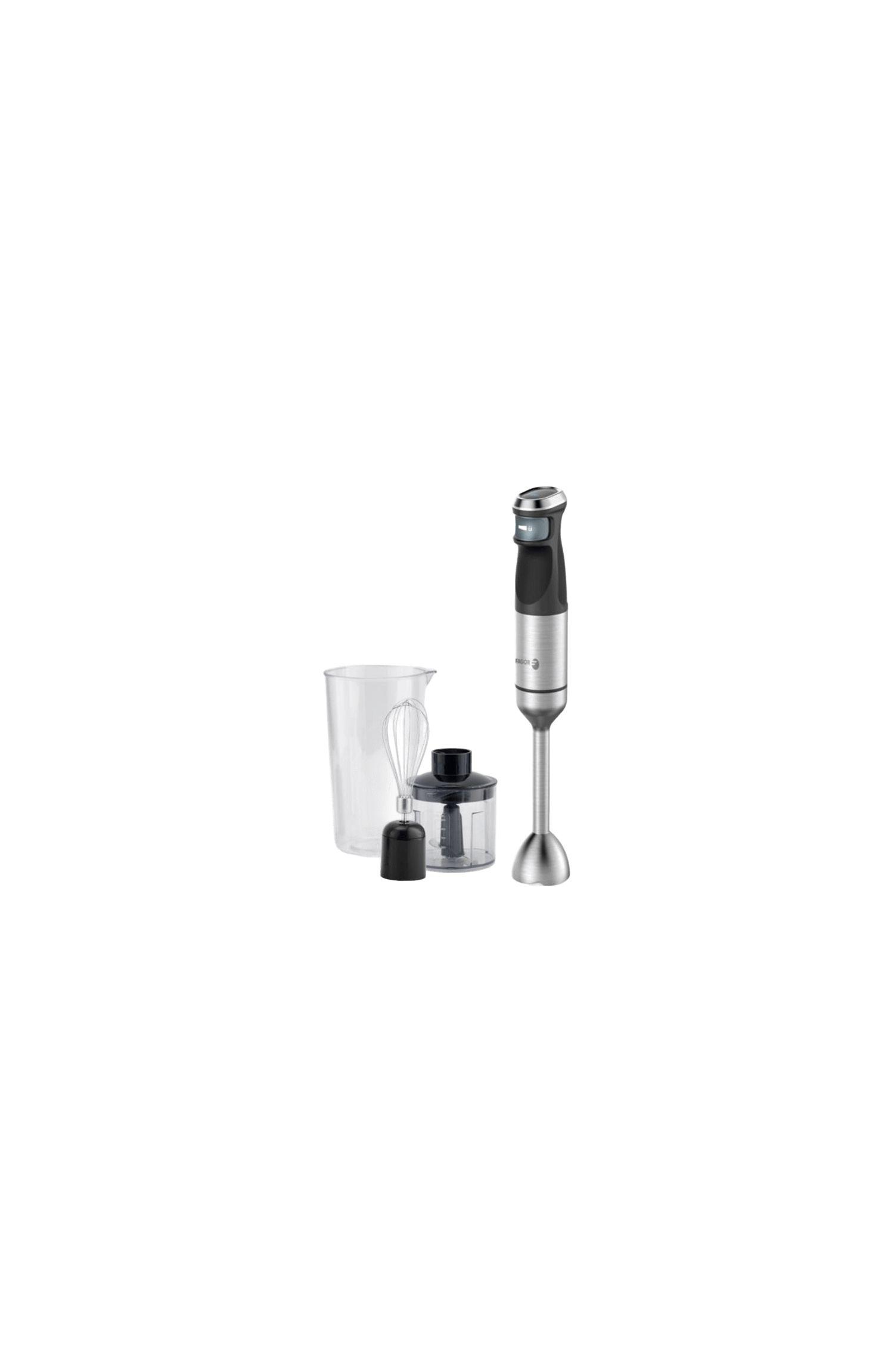 Varinha Mágica FAGOR Divamix Steel (1500 W)