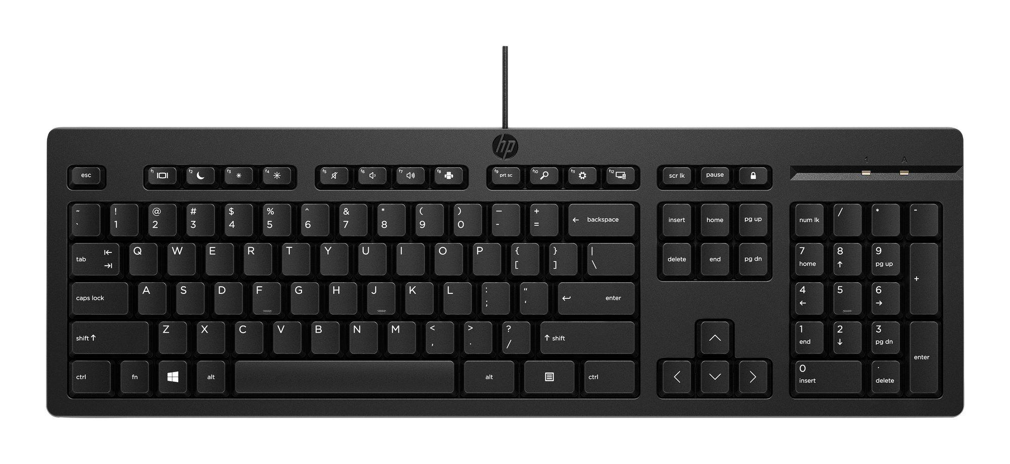 Teclado HP 125 G2 (Plunger key switch - Tamanho completo - USB - Preto)