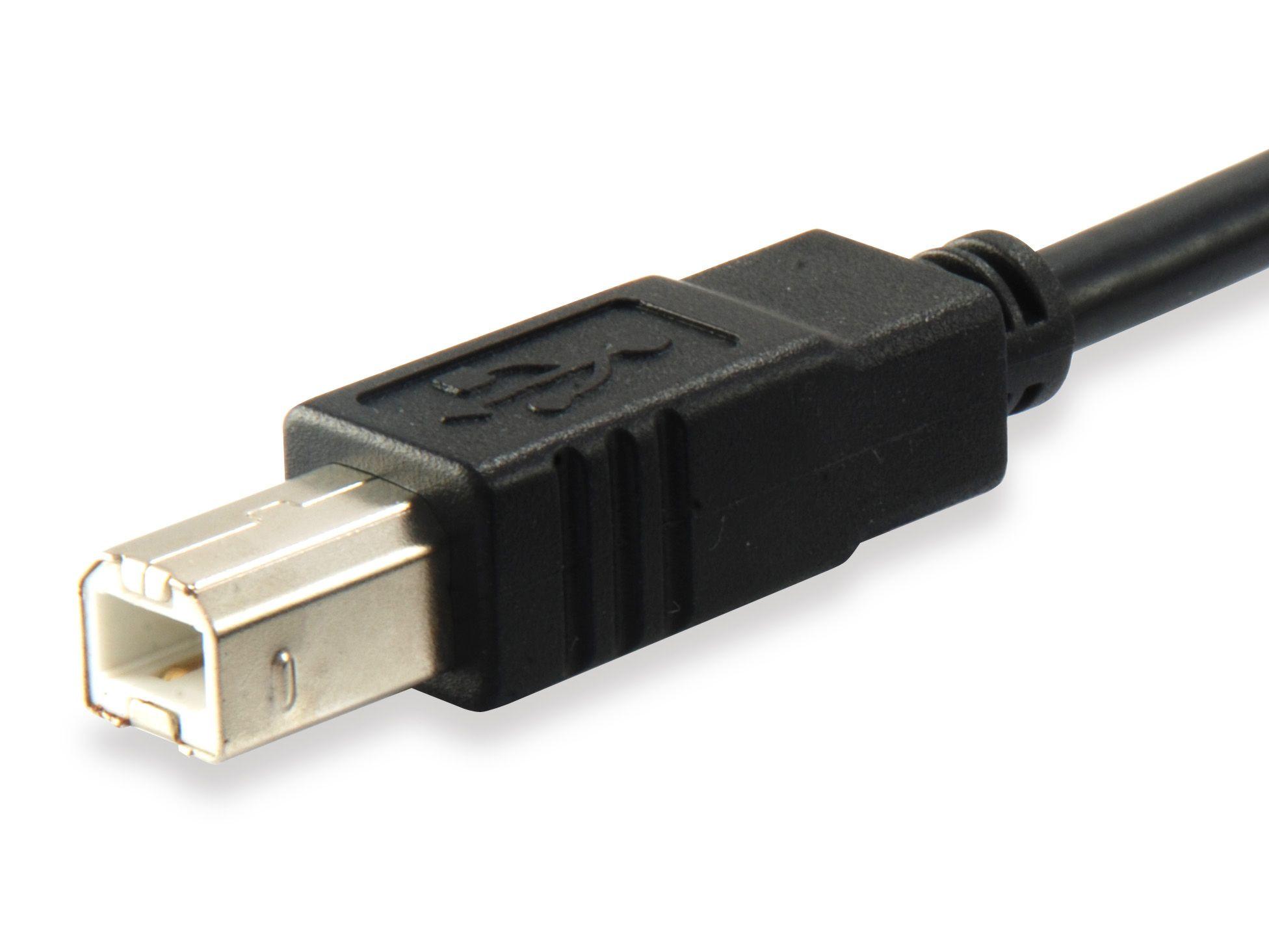 Cabo USB 2.0 EQUIP 12888207 (1 m - USB C - USB B - Preto) — miniatura 2