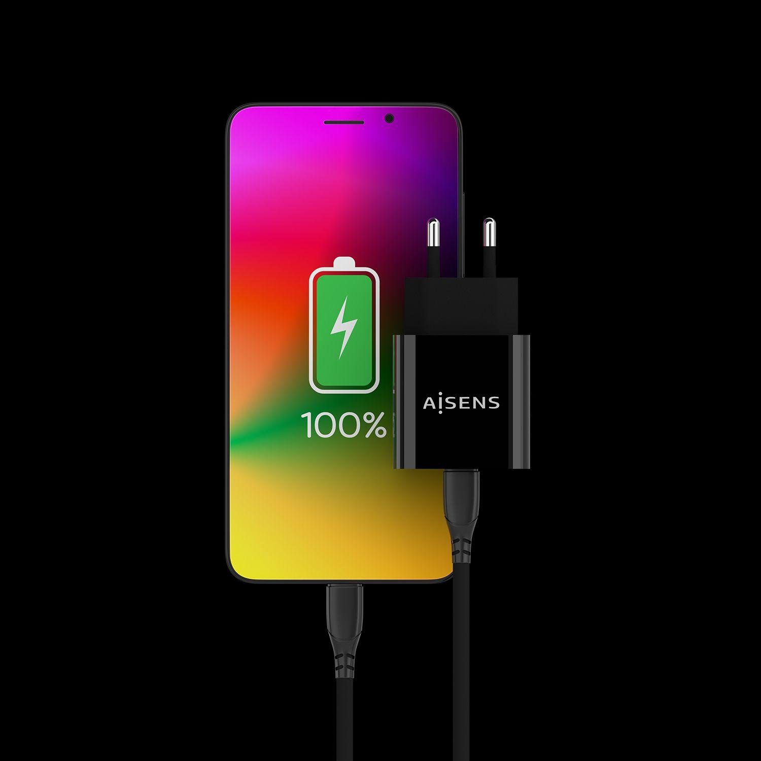 Carregador USB-C de Parede AISENS A110-0538 (20 W - Preto), miniatura 4