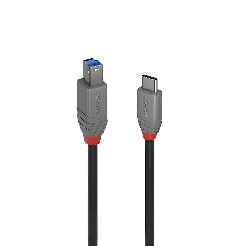 Cabo USB-C para USB-B LINDY 36666 (1 m - USB B - USB C - Preto)