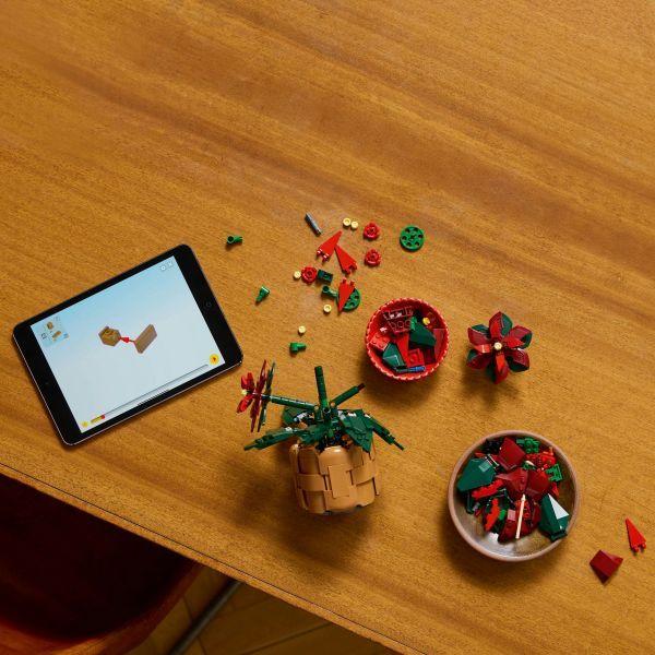 LEGO 10370 Icons Poinsétia (18+ anos - 608 peças), miniatura 4