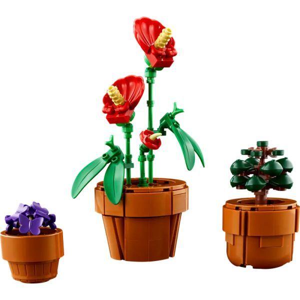LEGO 10329 Icons Plantas em Miniatura (18+ anos - 758 peças), miniatura 5