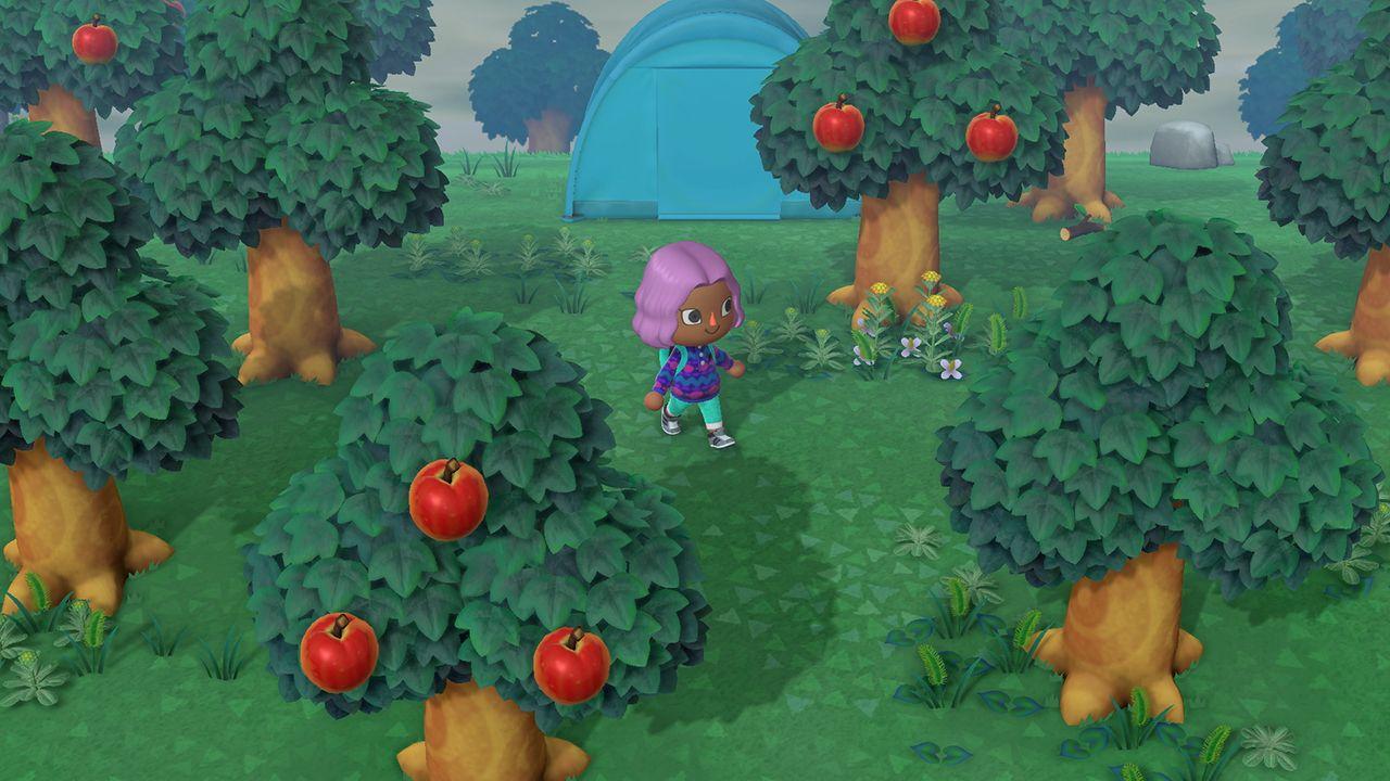 Jogo NINTENDO Animal Crossing: New Horizons (Nintendo Switch - Alemão/Inglês), miniatura 15