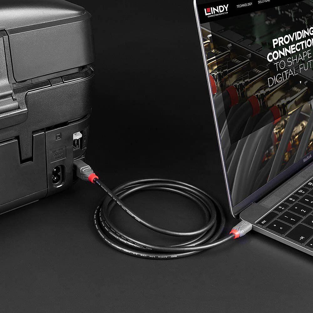 Cabo USB-C para USB-B LINDY 36940 (0,5 m - USB B - USB C - Preto) — miniatura 5