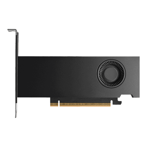 Placa Gráfica PNY Quadro RTX PRO 2000 Blackwell (RTX PRO 2000 - 16 GB - 128 bit - 4x mini DisplayPort)