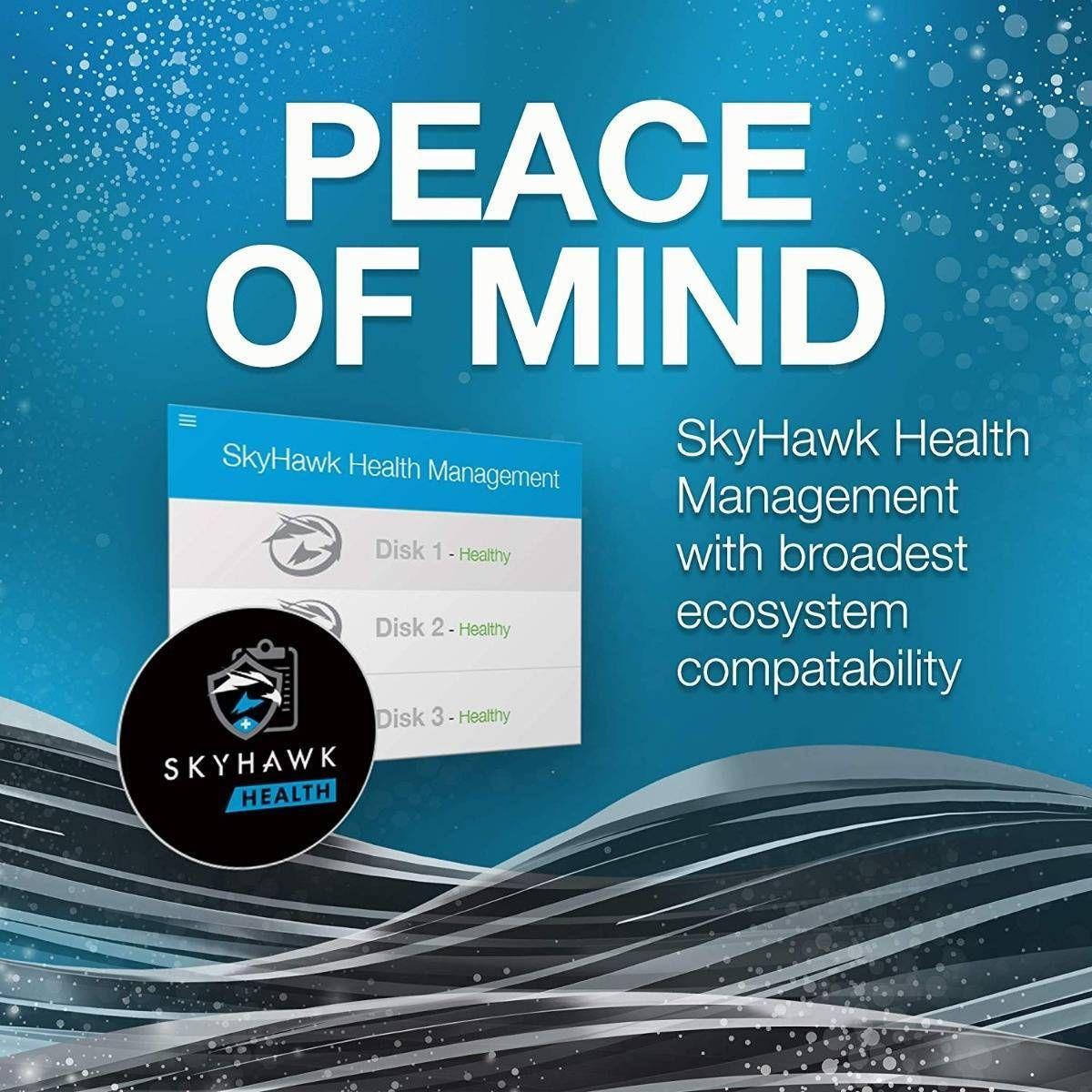Disco Rígido HDD SEAGATE SkyHawk ST1000VX013 (1 TB - 3.5" - Serial ATA III) — miniatura 6