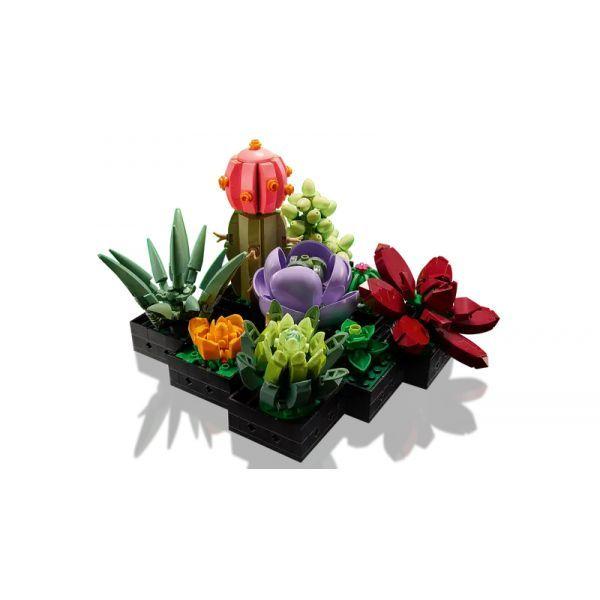 LEGO 10309 Icons Suculentas (18+ anos - 771 peças) — miniatura 5