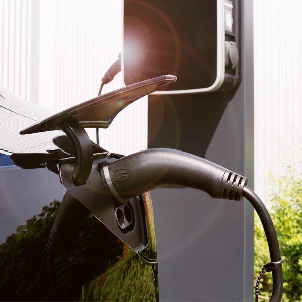 Cabo de Carregamento para Veículos Elétricos LOGILINK EVC0107 (Preto) — miniatura 5