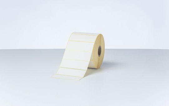 Etiquetas Térmicas BROTHER BDE-1J044076-066 (Brother TD - Branco), miniatura 4