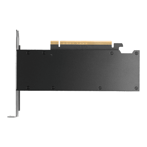 Placa Gráfica PNY Quadro RTX PRO 2000 Blackwell (RTX PRO 2000 - 16 GB - 128 bit - 4x mini DisplayPort) — miniatura 2