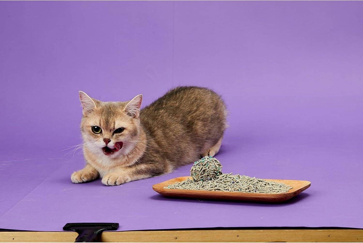 Caixa de Areia PETKIT Mixed Cat Litter (5 em 1 - Pack de 4) — miniatura 4