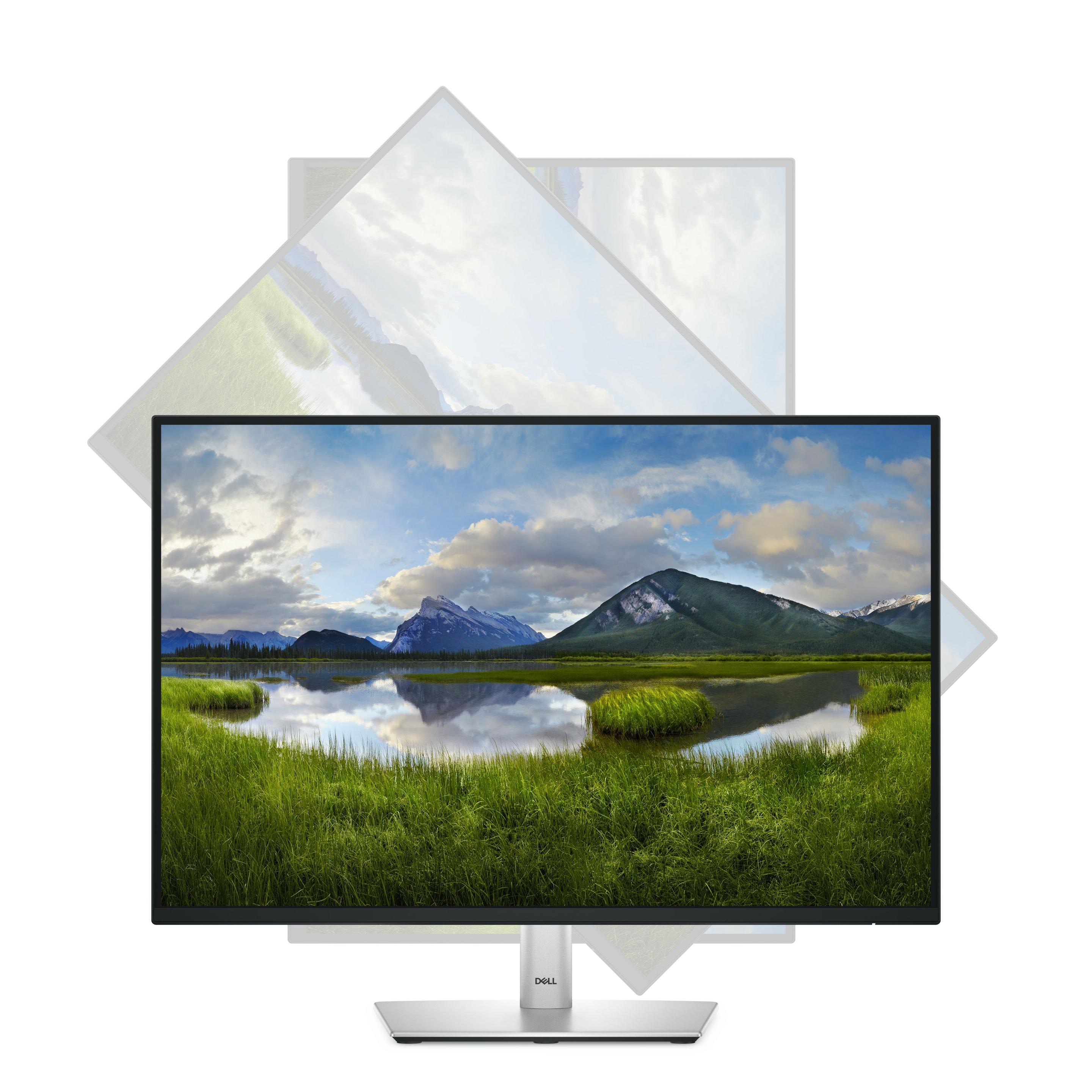 Monitor DELL Pro Plus P2425 (24,1" - IPS - 100 Hz - Preto) — miniatura 9