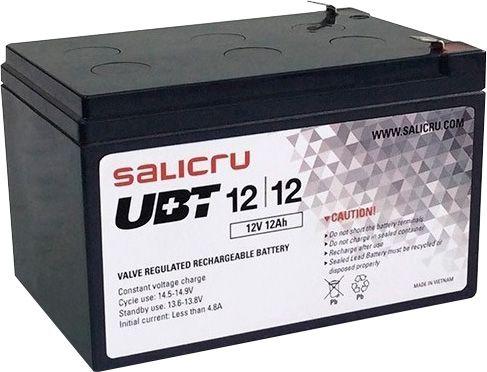 Bateria UPS SALICRU UBT 12/12 (Preto), miniatura 4