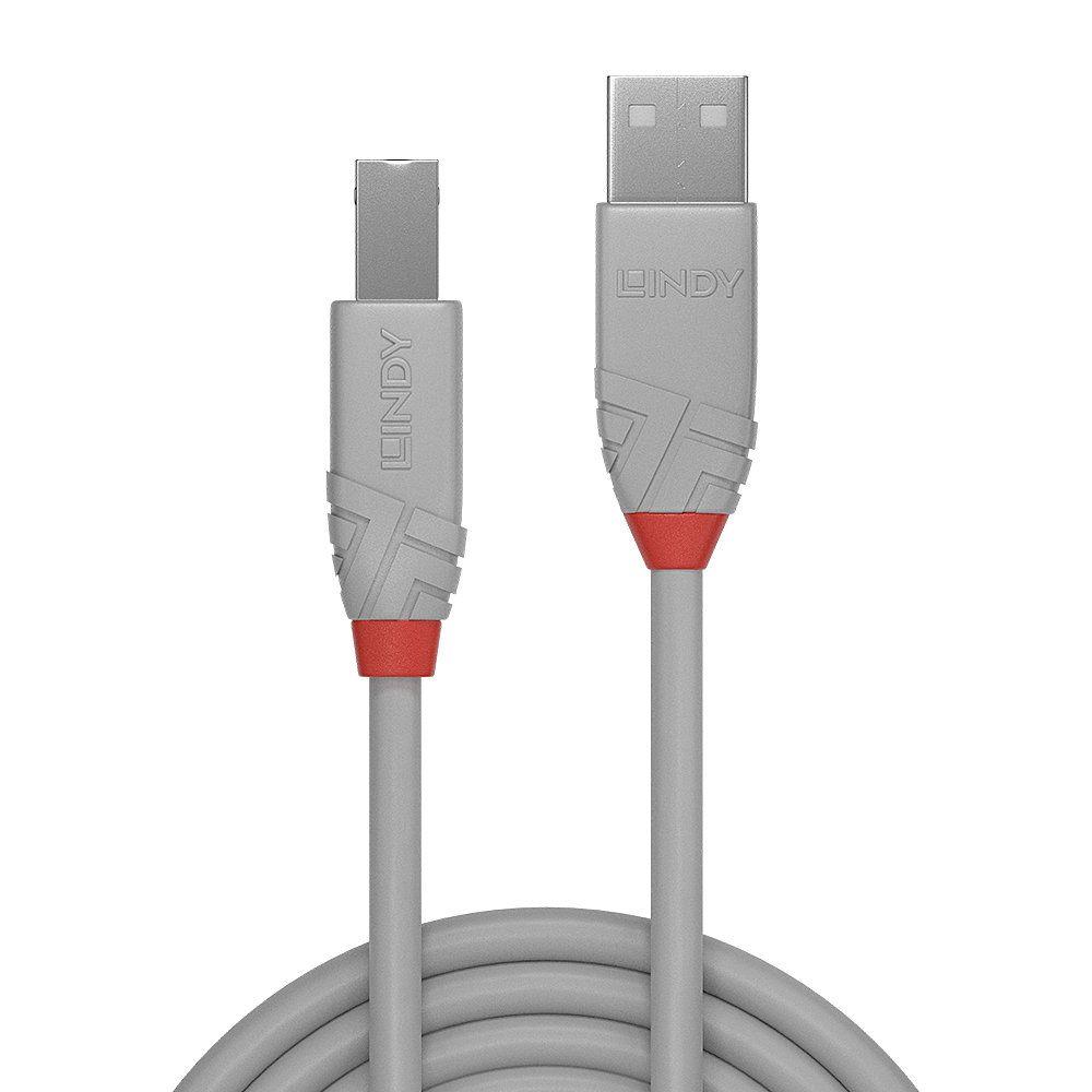 Cabo USB LINDY 36684 (3 m - USB-A macho - USB-B macho - Cinzento) — miniatura 2