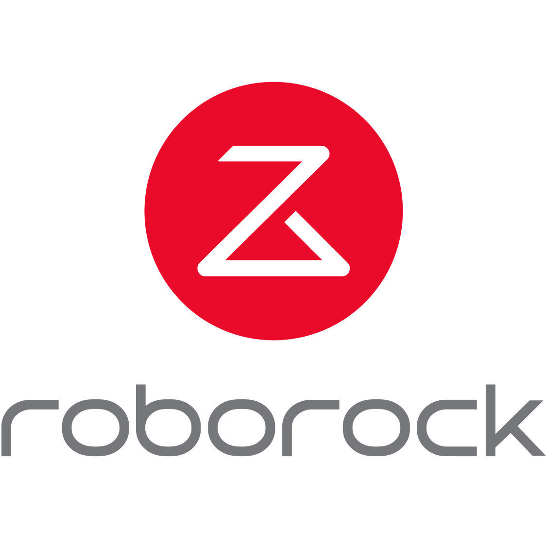 Roborock